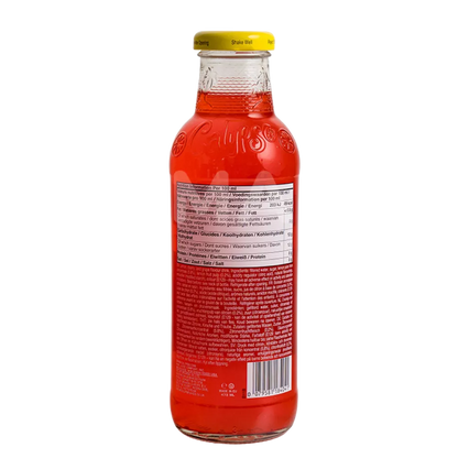 CALYPSO Lemonade Paradise Punch 473ML